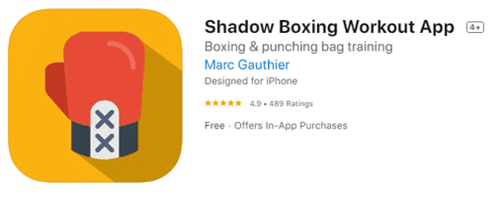 Shadow Boxing Tips  Best Freestanding Punching Bag